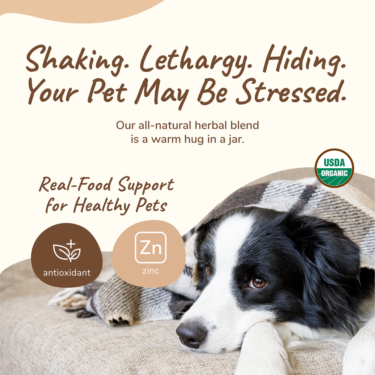 kin+kind Daily Healthy Calm Supplement for Dogs