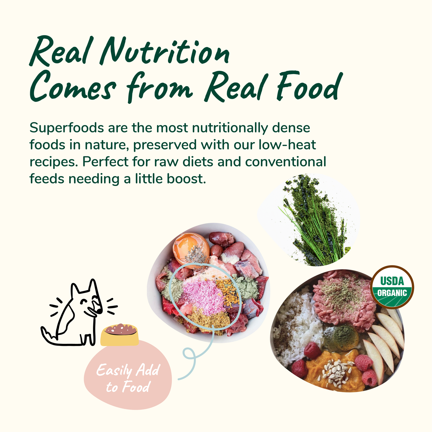 kin+kind Healthy Skin and Coat Supplement for Dogs and Cats