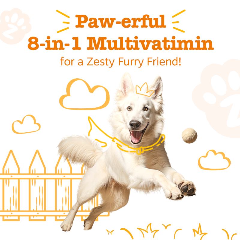 Zesty Paws 8 in 1 Bites Chicken Flavour Dog Supplement Chews 250ct