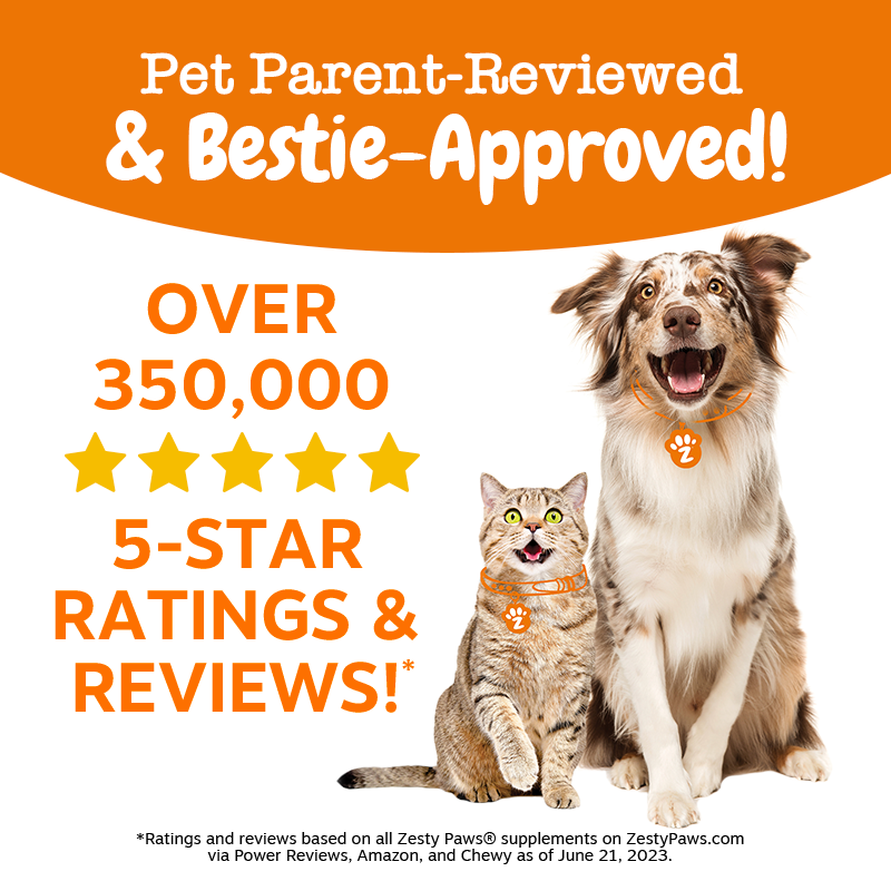 Zesty Paws Probiotic Bites Pumpkin Flavour Dog Supplement Chews 250ct