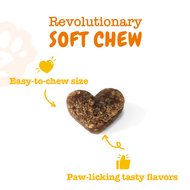 Zesty Paws All in One Training Bites for Dogs 8oz