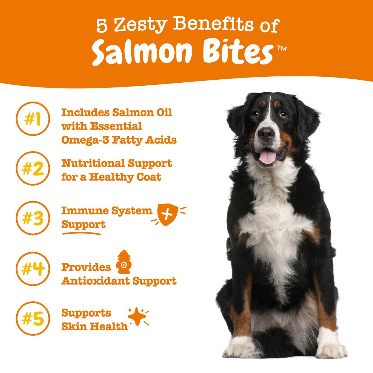 Zesty Paws Salmon Bites Dog Supplement Chews 90ct for Skin & Coat Support