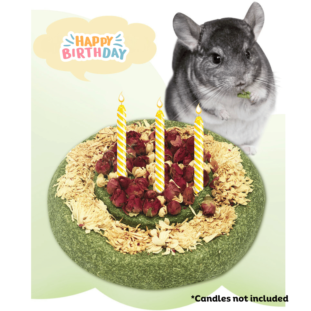 Munchies Handmade Timothy Hay Birthday Cake (14cm) – Natural Celebration Treat