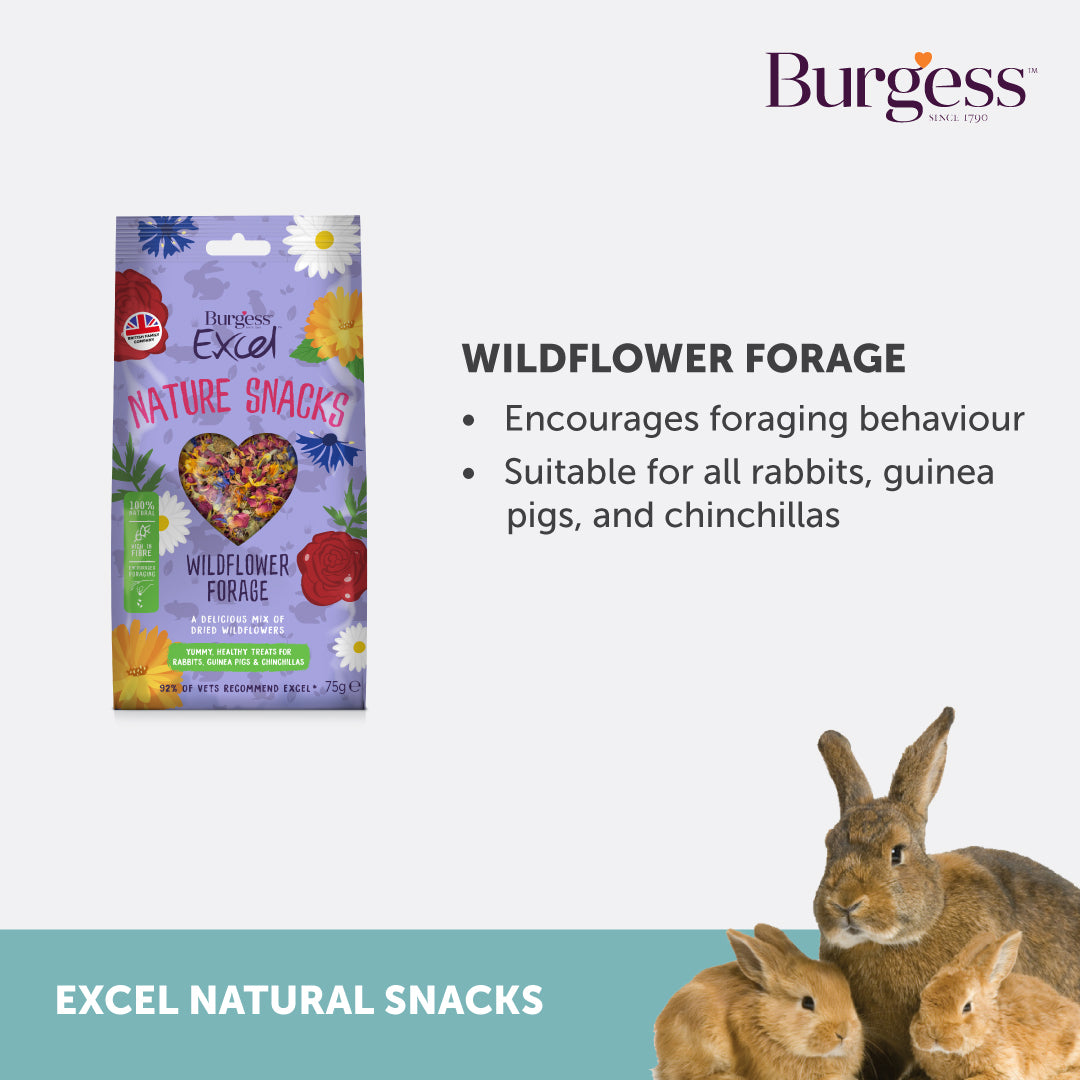 Burgess Excel Wildflower Forage โ 75g