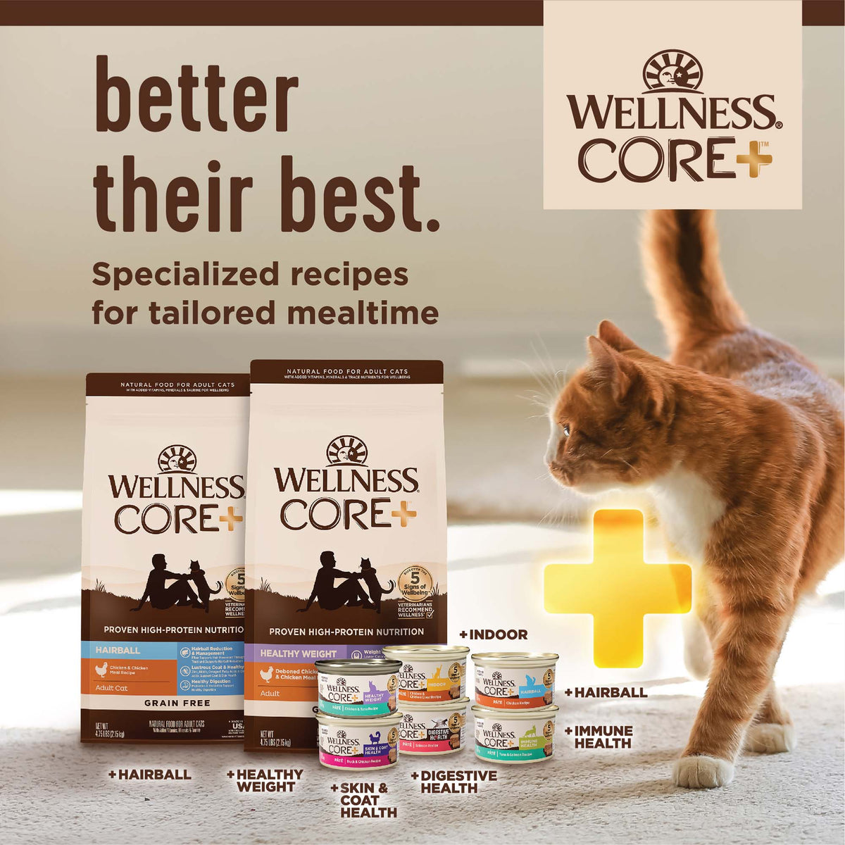 Wellness CORE+ Indoor Chicken & Turkey Grain Free Dry Cat Food 11LB