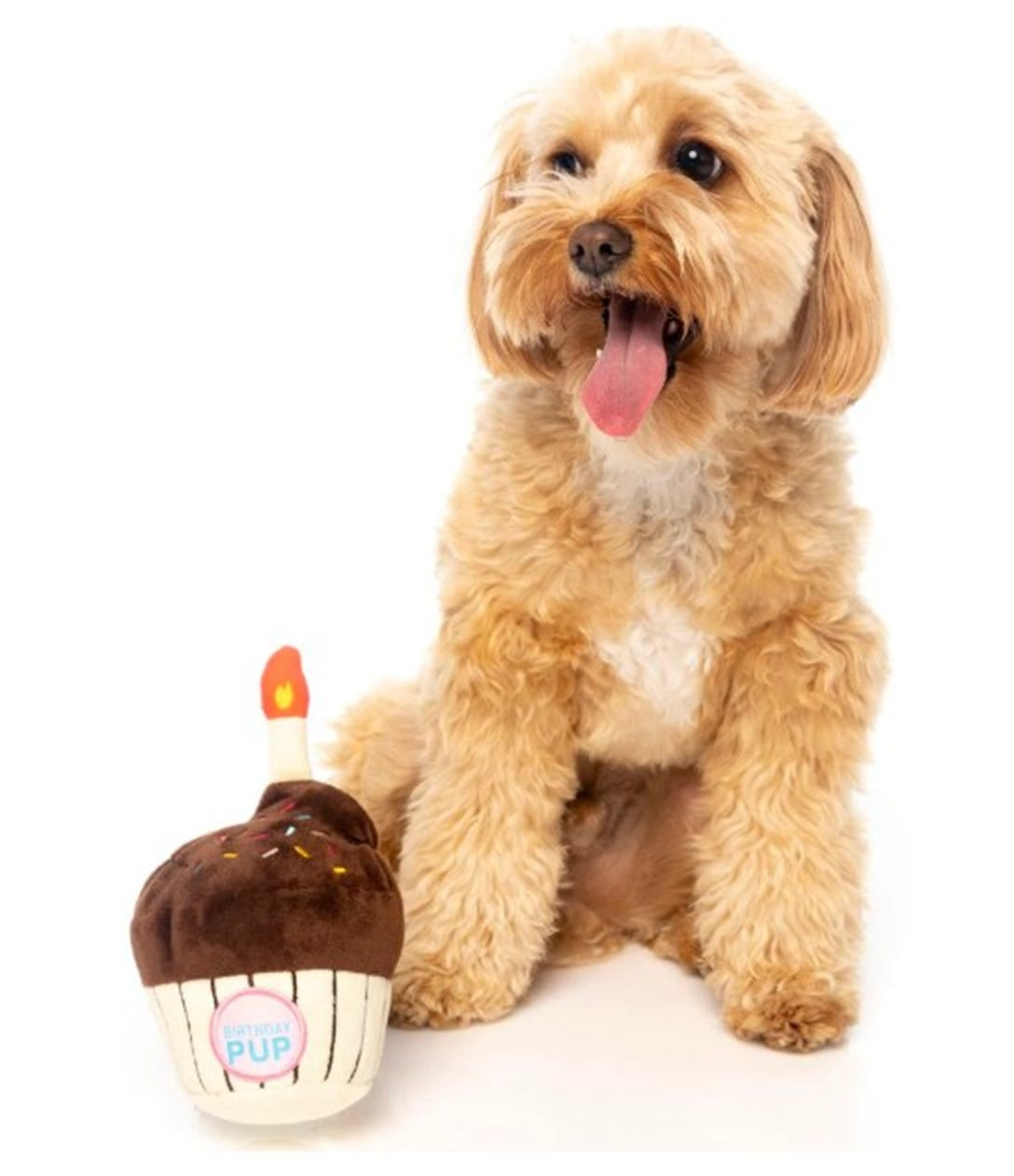 FuzzYard Birthday Cupcake Plush Dog Toy with Squeaker