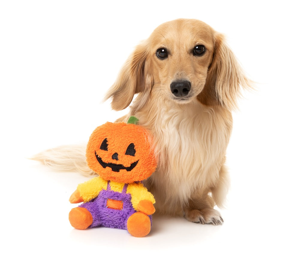 FuzzYard Halloween Jack O Chan Plush Dog Toy with Squeaker