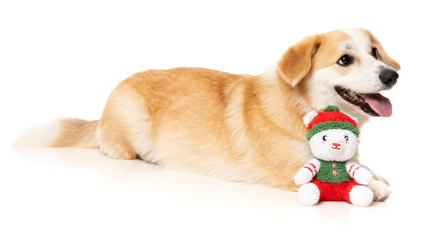 FuzzYard Christmas Polar Abdul Plush Dog Toy Small