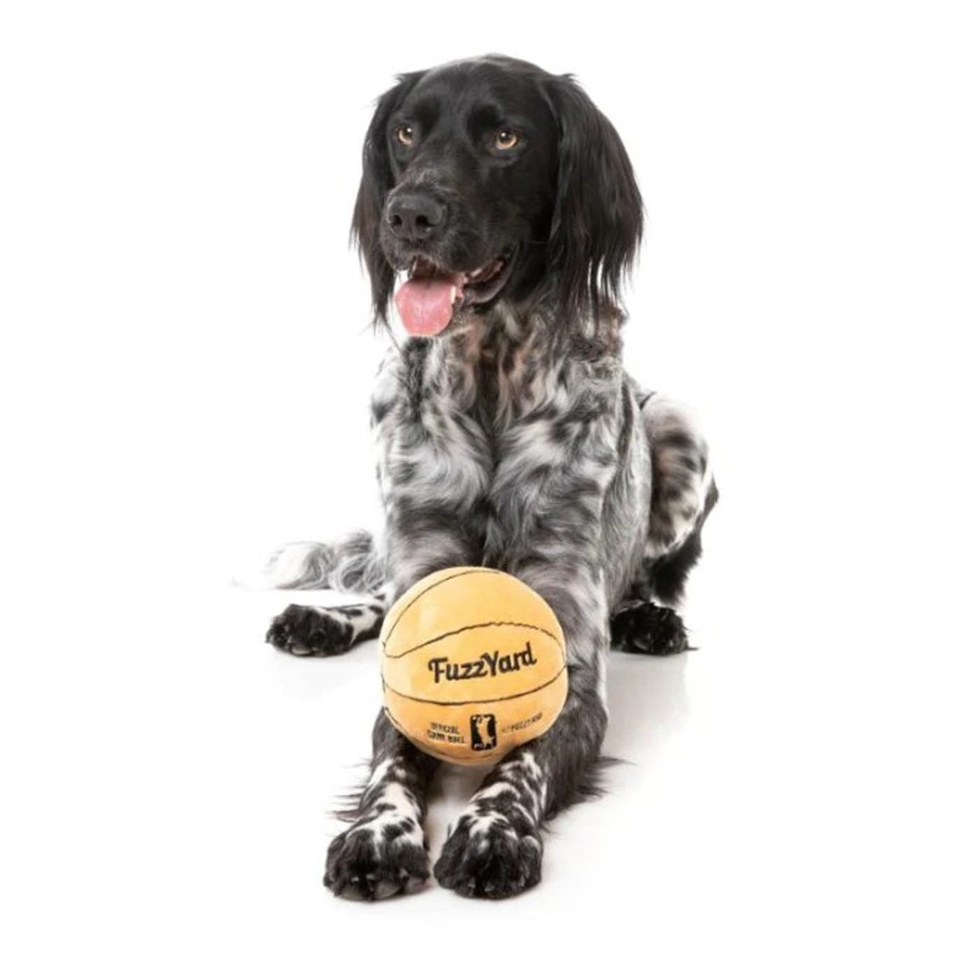 FuzzYard Basketball Plush Dog Toy with squeakers
