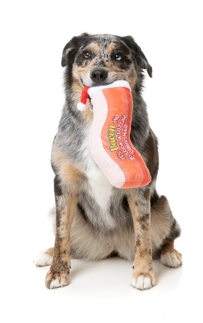 FuzzYard Christmas Bacon ing To Look A Lot Like Xmas Plush Dog Toy
