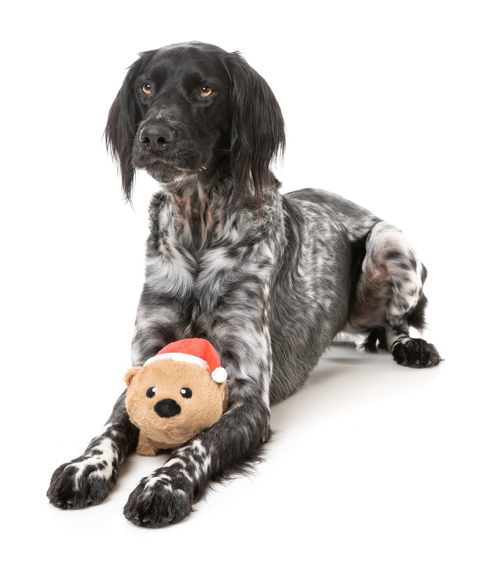 FuzzYard Christmas Felix Navidad Wombat Plush Dog Toy