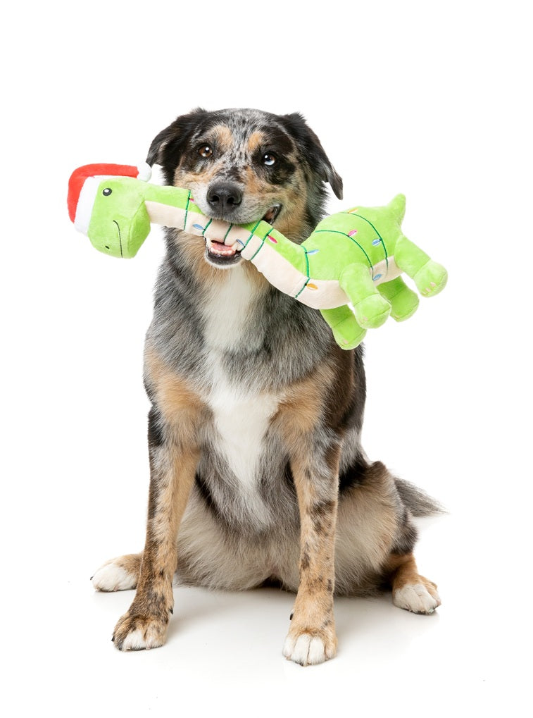 FuzzYard Christmas Lit A Saurus Plush Dog Toy