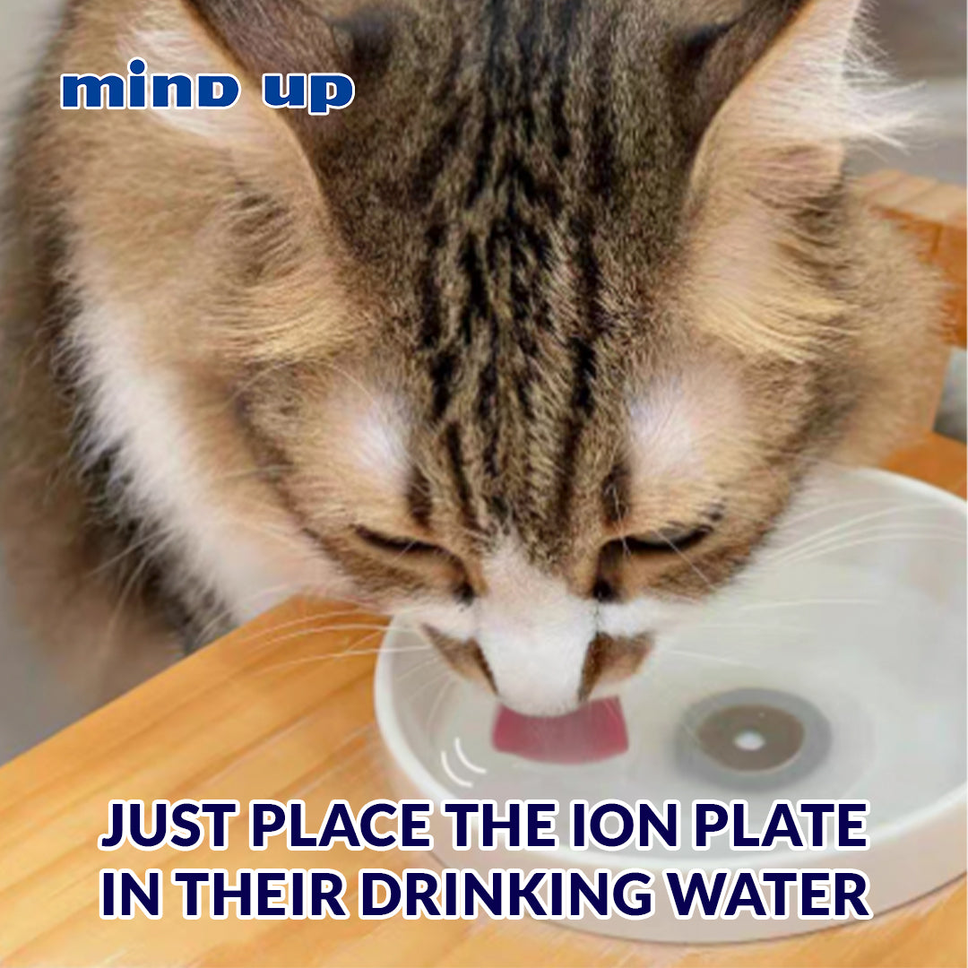 Mind Up Nyanko Care Ion Plate for Cats