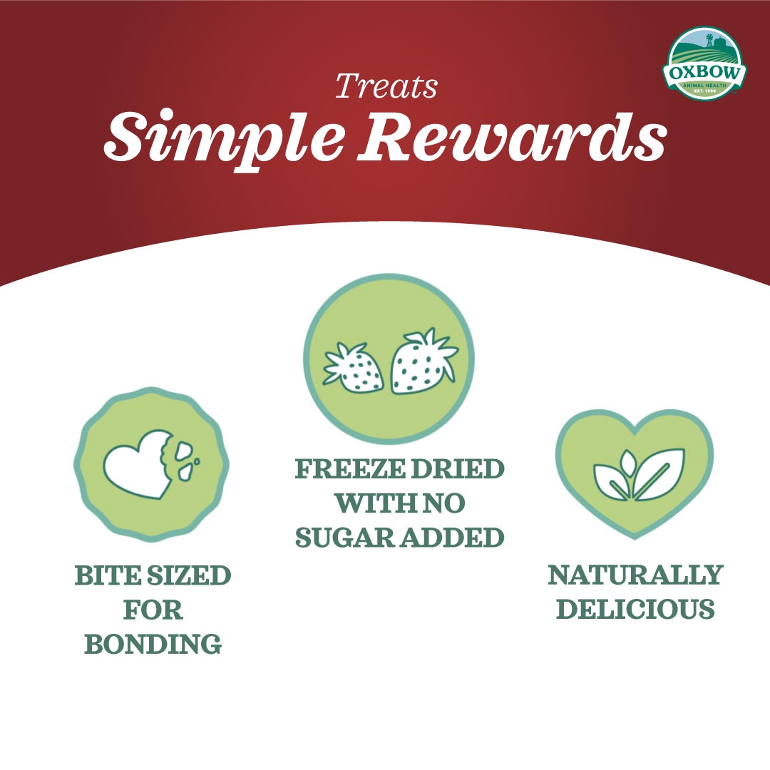 Oxbow Simple Rewards Baked Treats with Bell Pepper for Small Pets