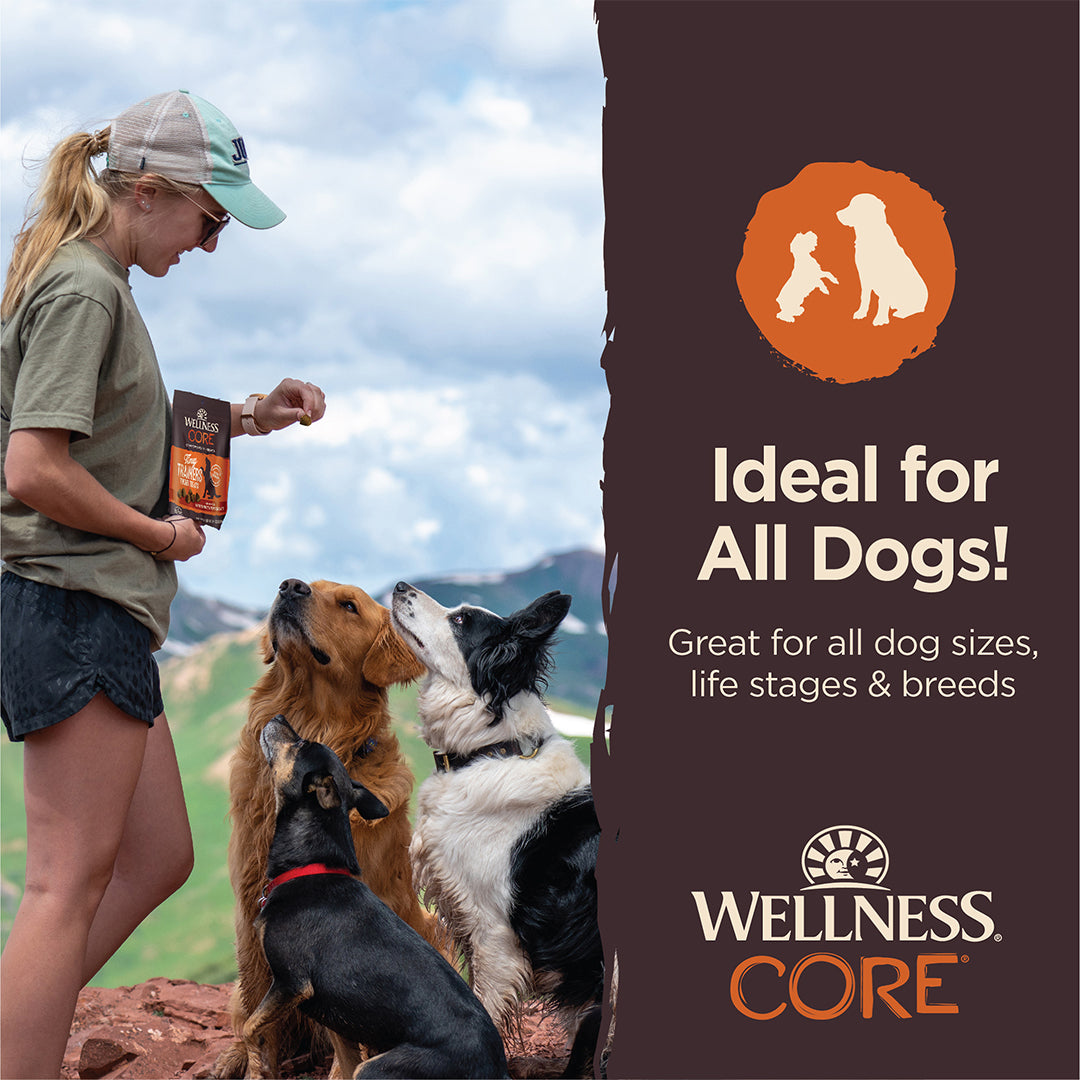 Wellness CORE Tiny Trainers Turkey & Pomegranate Grain Free Dog Treats 6oz
