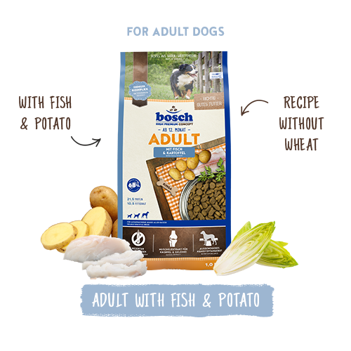 Bosch High Premium Concept Adult Fish and Potato Dog Food 3kg