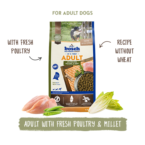 Bosch High Premium Concept Adult Poultry and Millet Dog Food 15kg