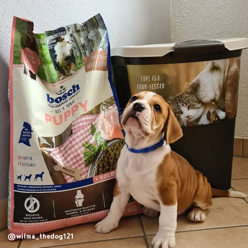 Bosch High Premium Concept Puppy Dry Food 7.5kg