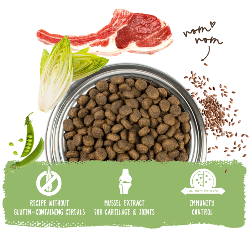 Bosch High Premium Concept Sensitive Lamb and Rice Dog Food 3kg