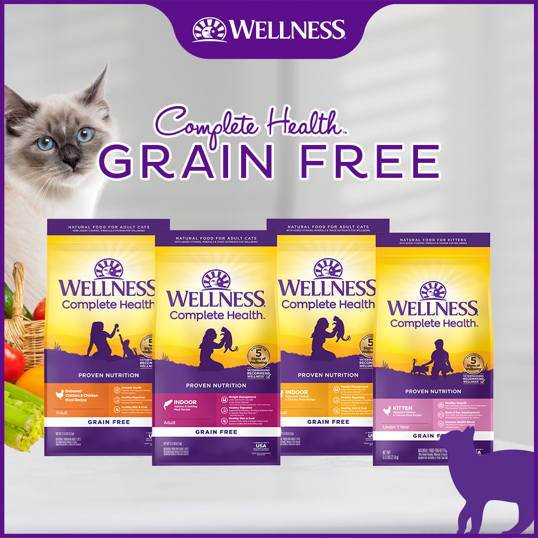 Wellness Complete Health Grain Free Indoor Salmon & Herring Adult Dry Cat Food 11.5lb
