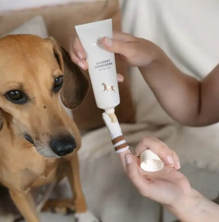 Lila Loves It Liladent Dental Care Toothpaste for Dogs 75ml