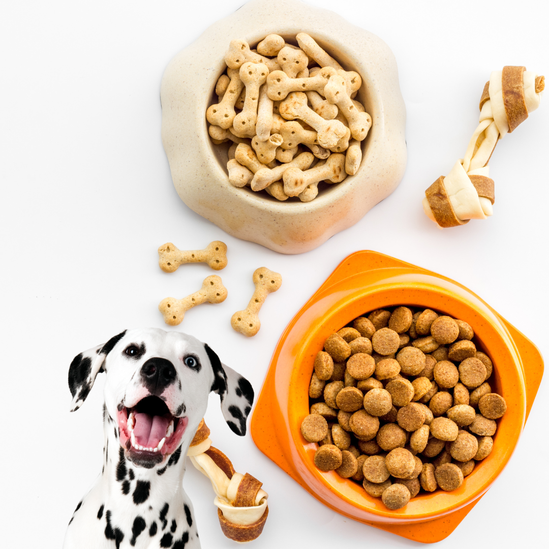 Dog Dry Food