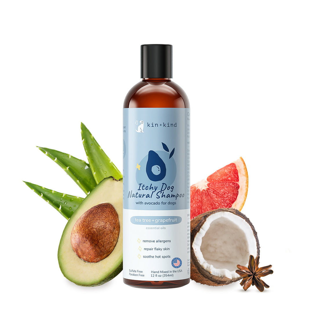 kin+kind Itchy Dog Shampoo Tea Tree and Grapefruit 12oz