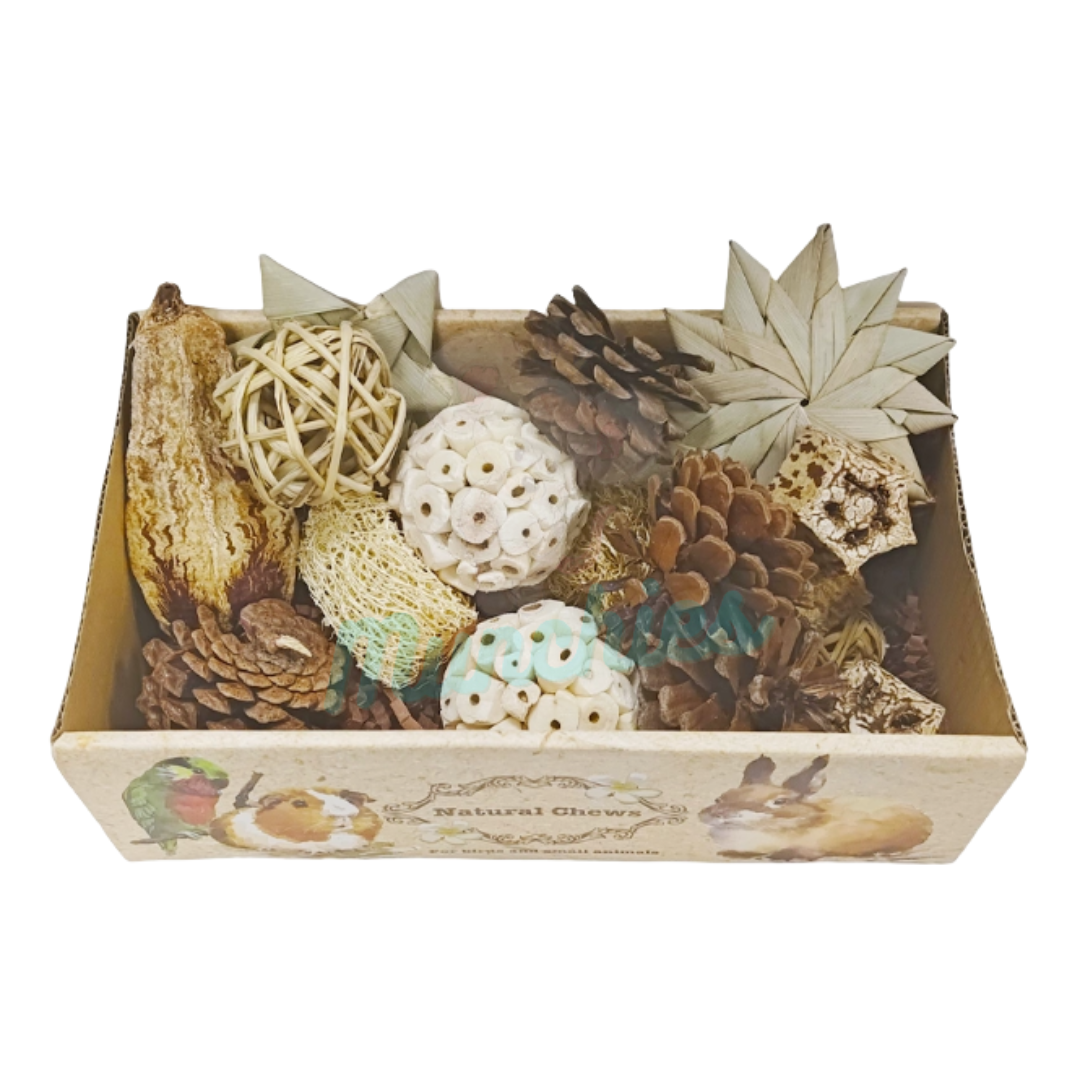 Munchies Natural Chew Variety Toy Box for Birds, Rats & Small Pets