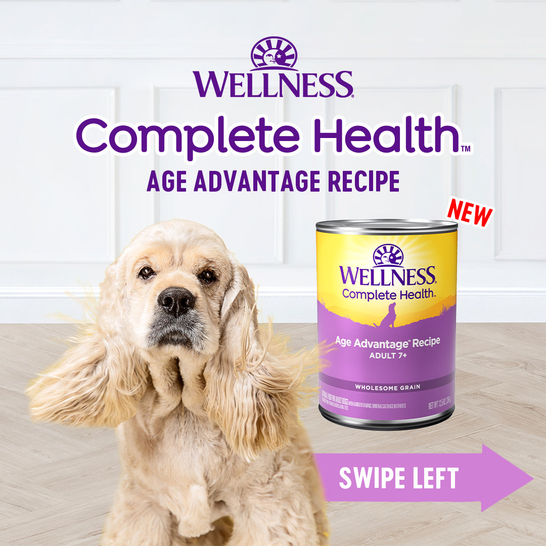 Wellness Complete Health Age Advantage Senior Chicken & Sweet Potato Wet Dog Food 354g