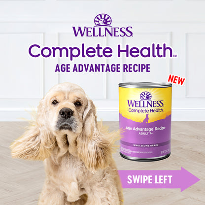 Wellness Complete Health Age Advantage Senior Chicken & Sweet Potato Wet Dog Food 354g