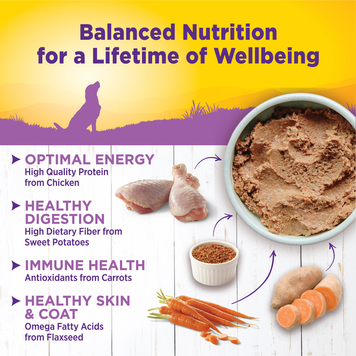 Wellness Complete Health Age Advantage Senior Chicken & Sweet Potato Wet Dog Food 354g