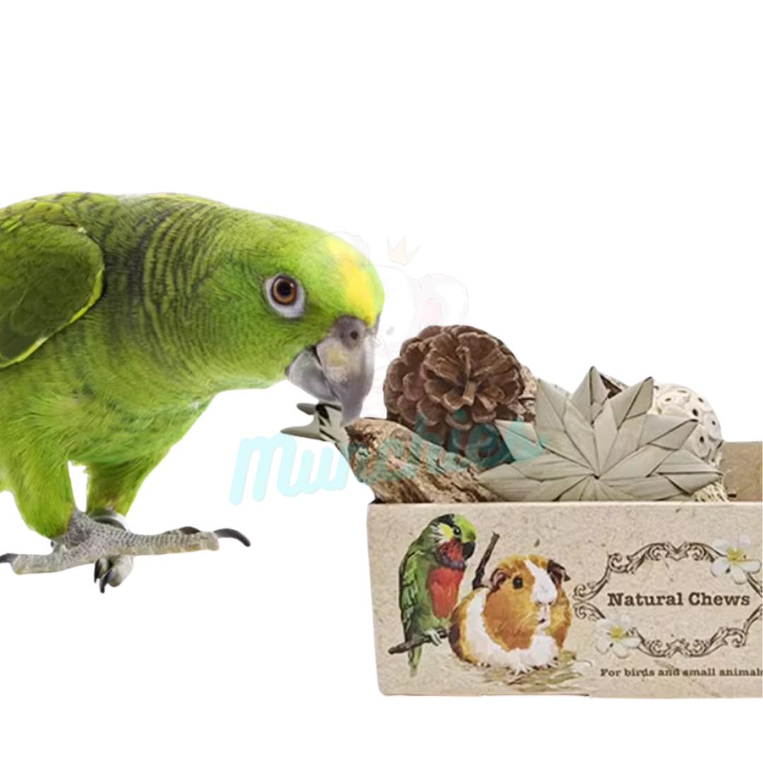 Munchies Natural Chew Variety Toy Box for Birds, Rats & Small Pets