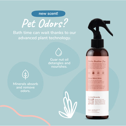 kin+kind Dog Smell Coat Spray Grapefruit 12oz