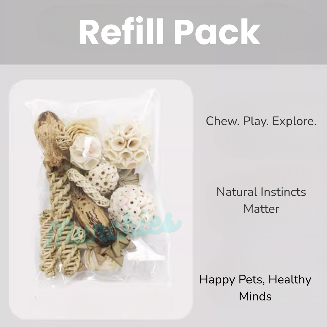 Munchies Natural Chew Variety Toy Box for Birds, Rats & Small Pets