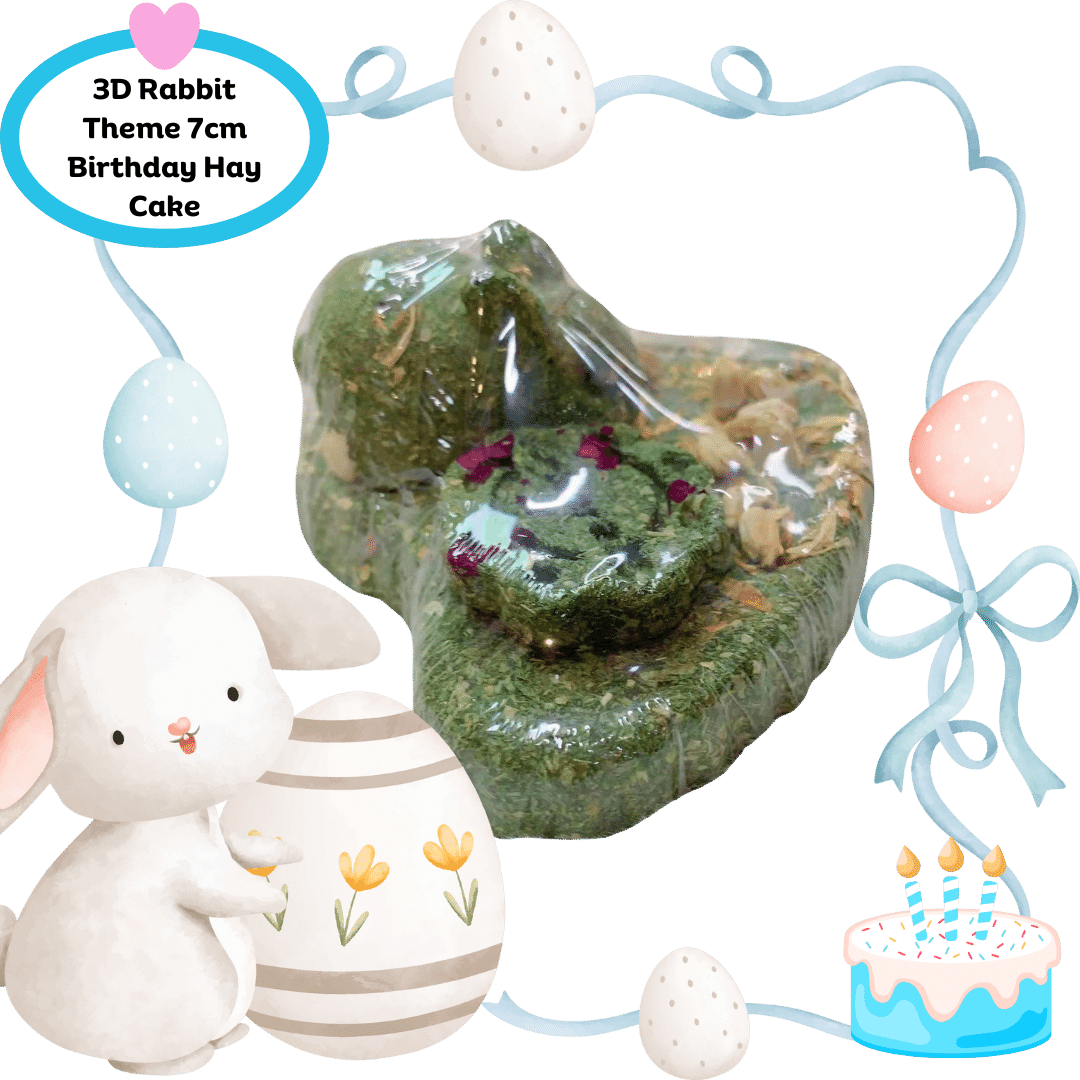 Munchies Rabbit-Themed Birthday Hay Cake (7–10cm) – Natural Celebration Treat