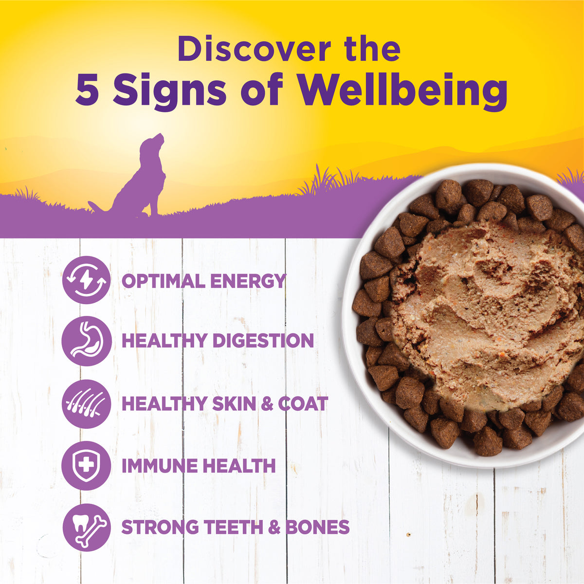 Wellness Complete Health Age Advantage Senior Chicken & Sweet Potato Wet Dog Food 354g