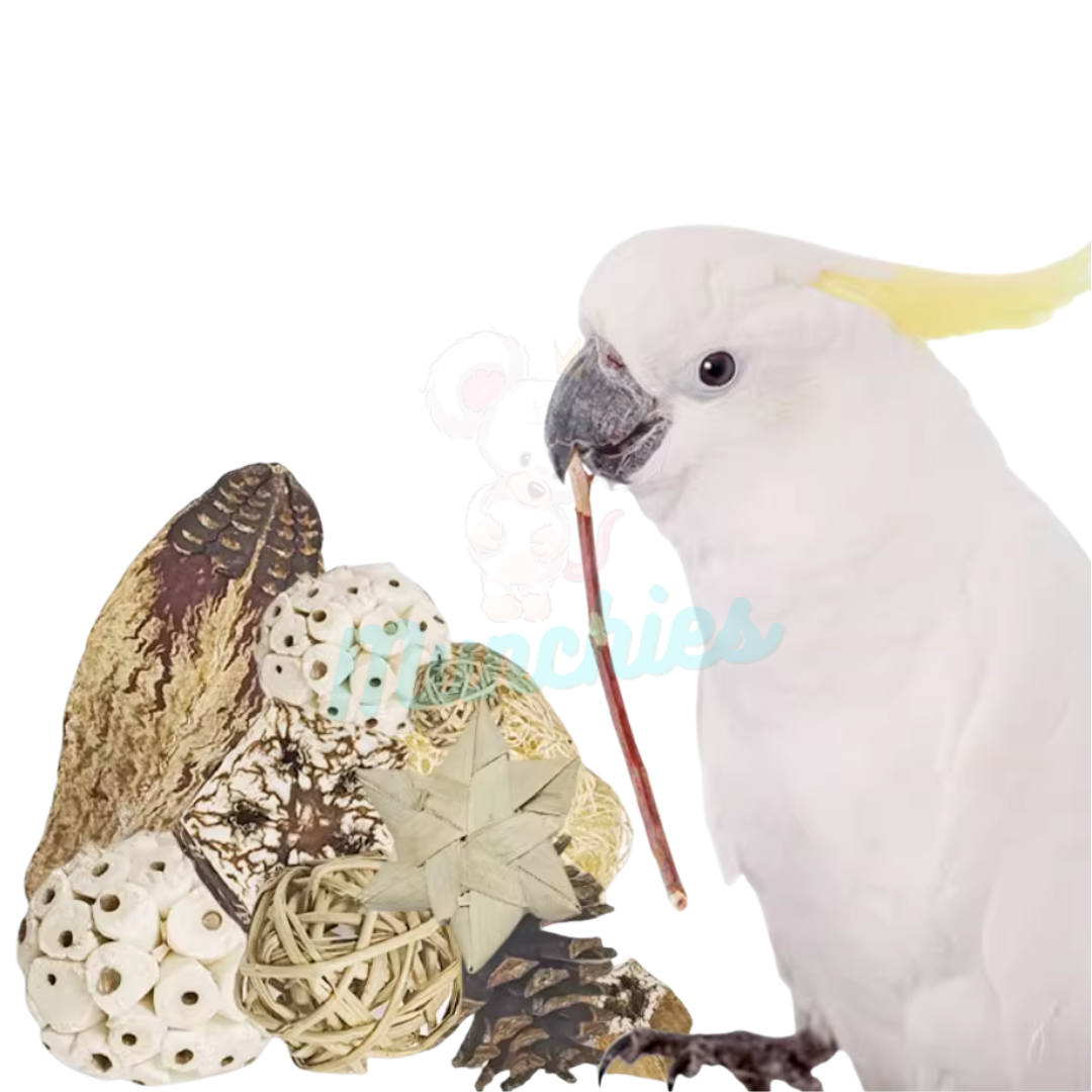 Munchies Natural Chew Variety Toy Box for Birds, Rats & Small Pets