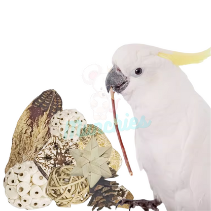 Munchies Natural Chew Variety Toy Box for Birds, Rats & Small Pets