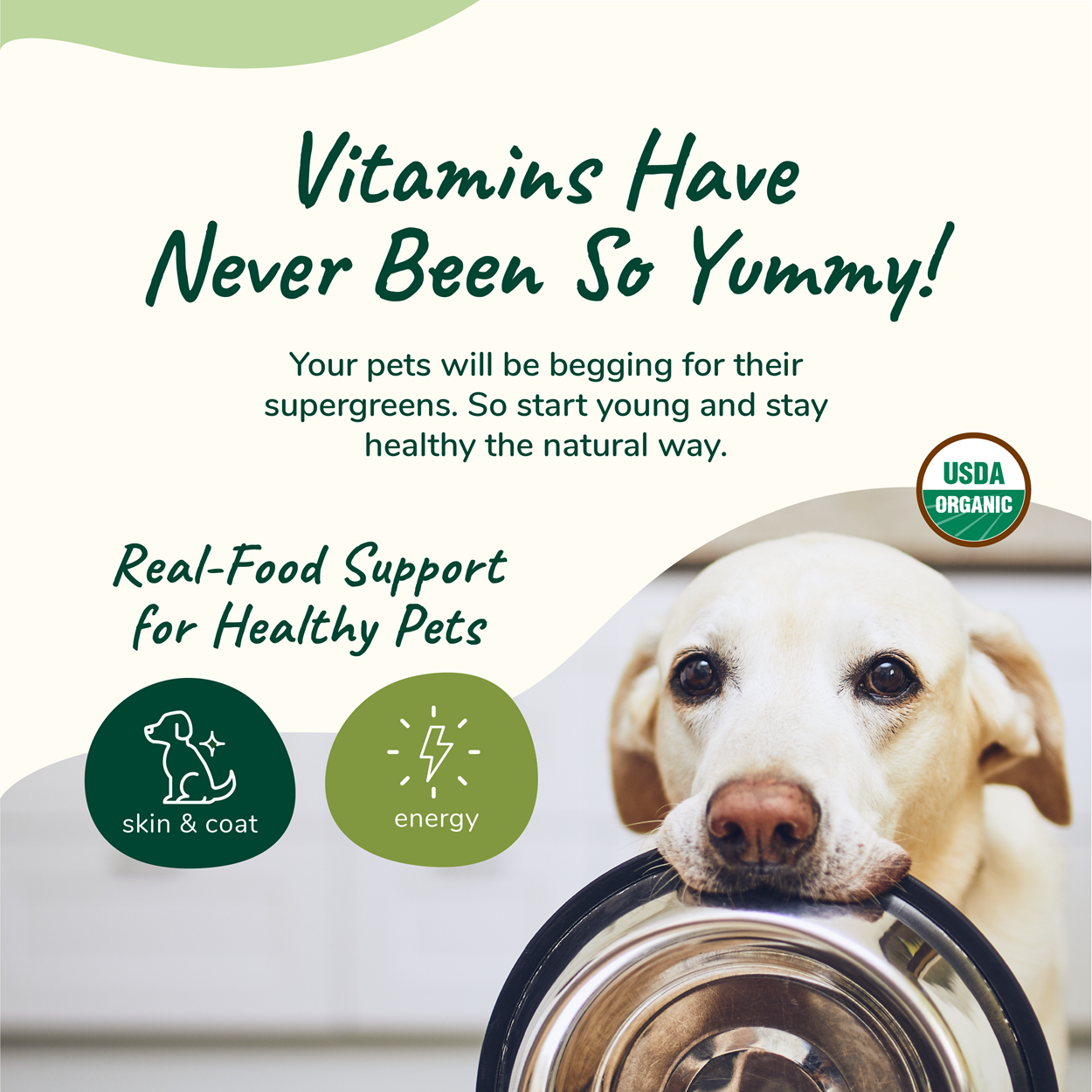 kin+kind Healthy Skin and Coat Supplement for Dogs and Cats