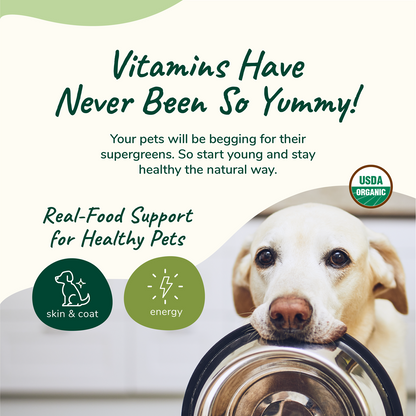 kin+kind Healthy Skin and Coat Supplement for Dogs and Cats