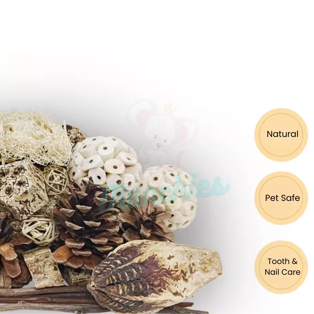 Munchies Natural Chew Variety Toy Box for Birds, Rats & Small Pets