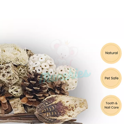 Munchies Natural Chew Variety Toy Box for Birds, Rats & Small Pets