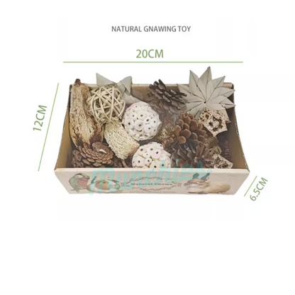 Munchies Natural Chew Variety Toy Box for Birds, Rats & Small Pets