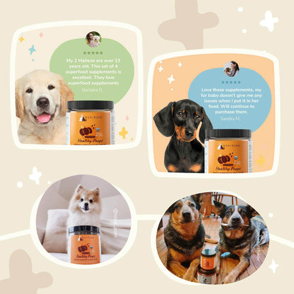 kin+kind Healthy Poops Digestive Supplement for Dogs and Cats