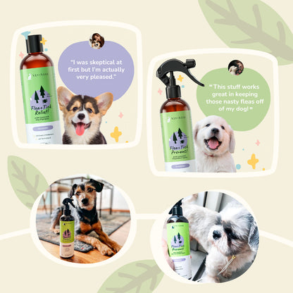 kin+kind Flea and Tick Treatment Shampoo Lavender 12oz