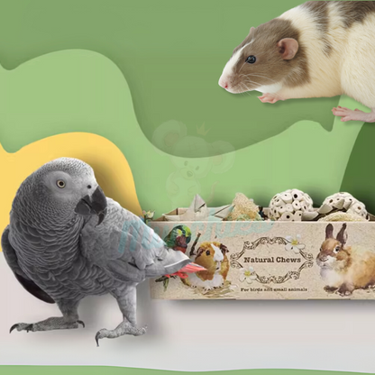 Munchies Natural Chew Variety Toy Box for Birds, Rats & Small Pets