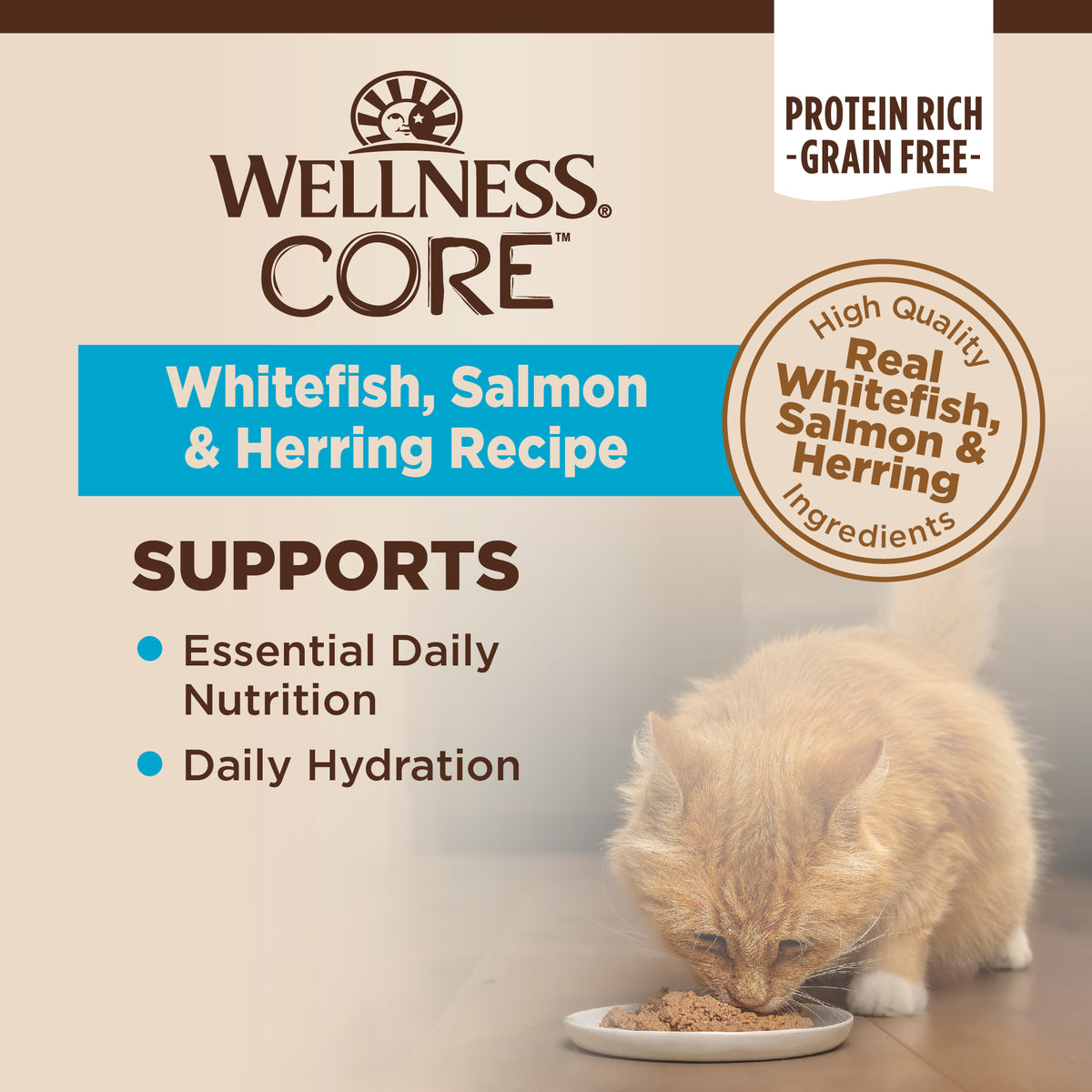 Wellness CORE Whitefish, Salmon & Herring Grain Free Pate Canned Cat Food 5.5oz