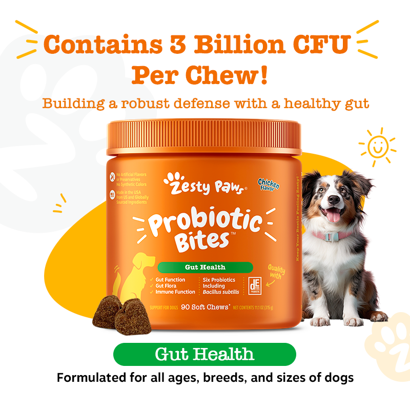 Zesty Paws Probiotic Bites Pumpkin Flavour Dog Supplement Chews 250ct
