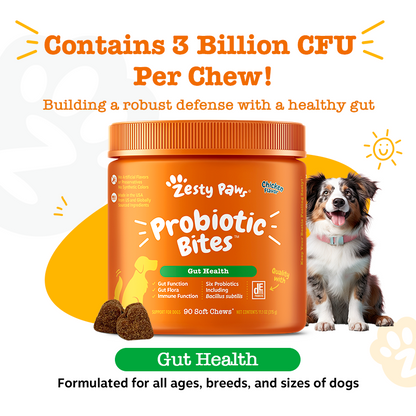 Zesty Paws Probiotic Bites Pumpkin Flavour Dog Supplement Chews 250ct