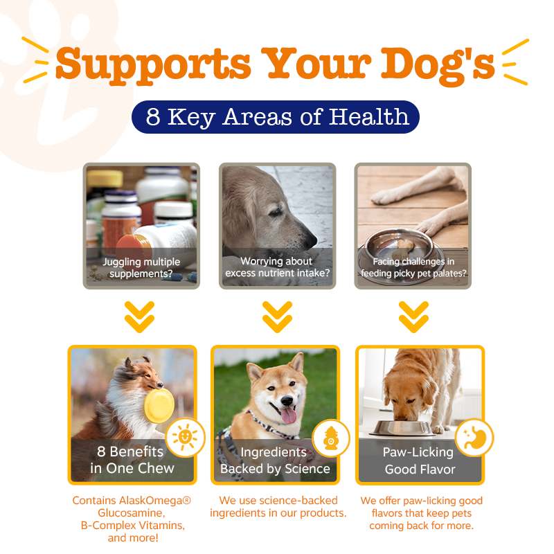 Zesty Paws 8 in 1 Bites Chicken Flavour Dog Supplement Chews 250ct